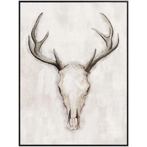 Framed Stag Picture