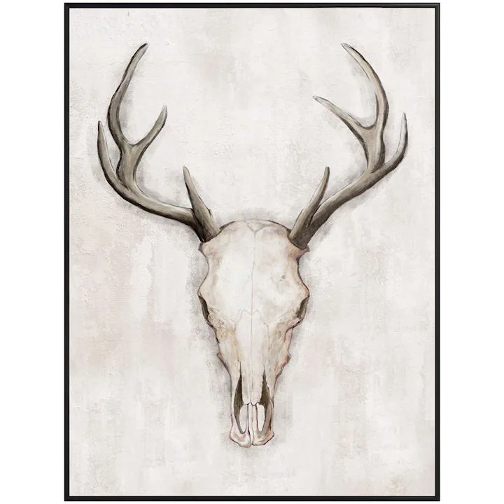 Framed Stag Picture