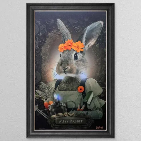 Mrs Rabbit Framed Wall Art
