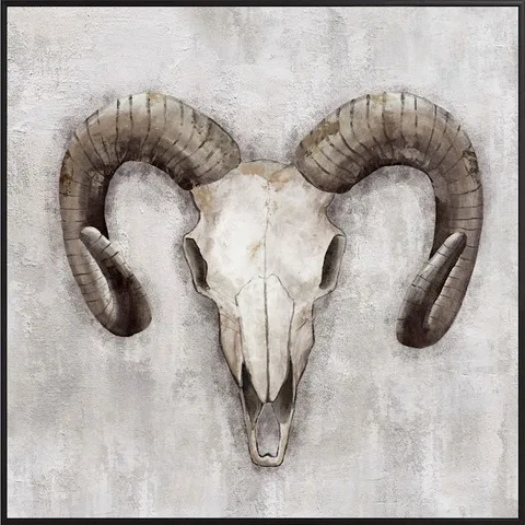 Framed Ram Picture