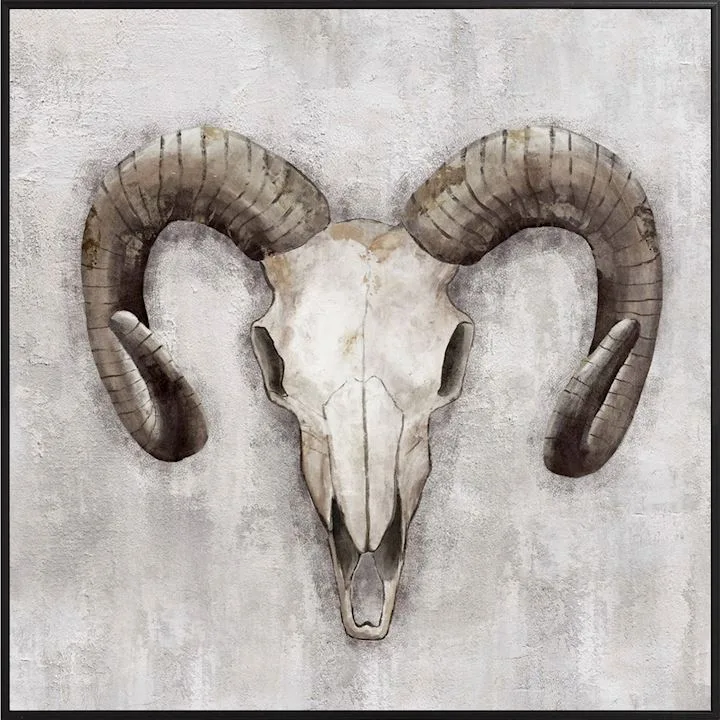 Framed Ram Picture
