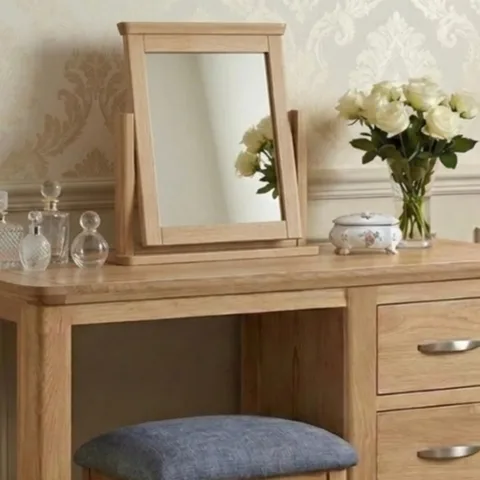 New Treviso Vanity Mirror